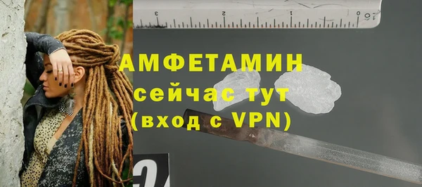 шишки Новозыбков