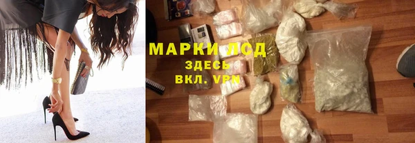 шишки Новозыбков