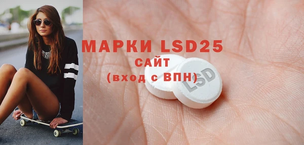 шишки Новозыбков