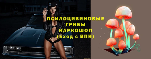 мдпв Новодвинск