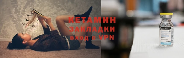шишки Новозыбков