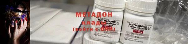 шишки Новозыбков