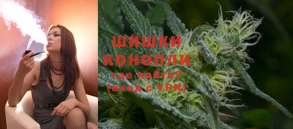 шишки Новозыбков