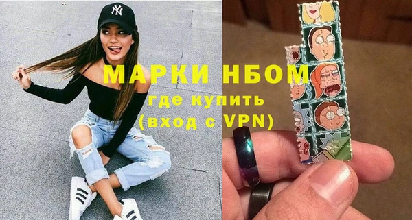 шишки Новозыбков