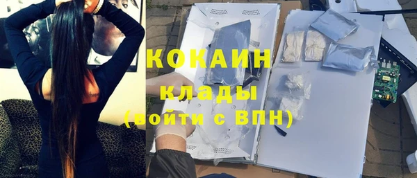 шишки Новозыбков